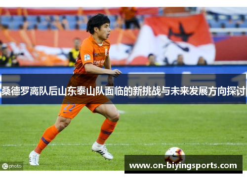 桑德罗离队后山东泰山队面临的新挑战与未来发展方向探讨