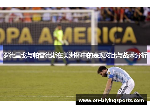 罗德里戈与帕雷德斯在美洲杯中的表现对比与战术分析