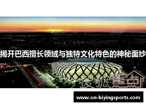 揭开巴西擅长领域与独特文化特色的神秘面纱