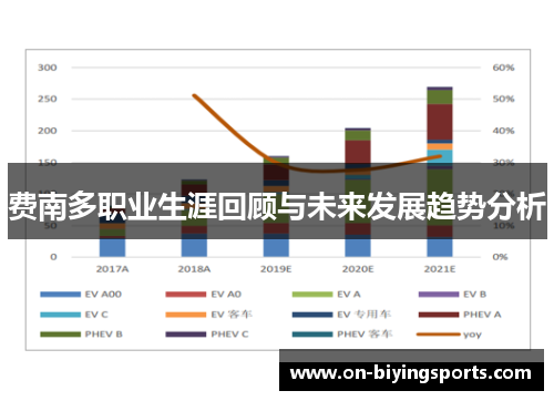 费南多职业生涯回顾与未来发展趋势分析